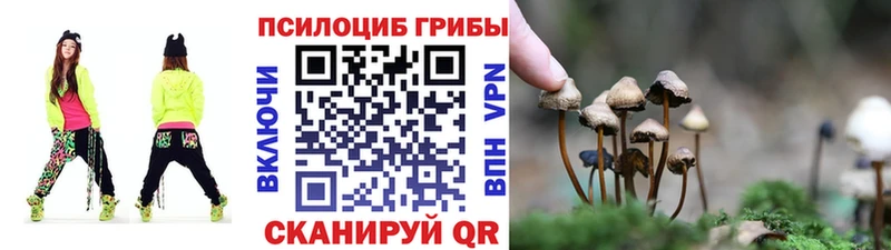 Псилоцибиновые грибы Psilocybine cubensis наркотики Улан-Удэ