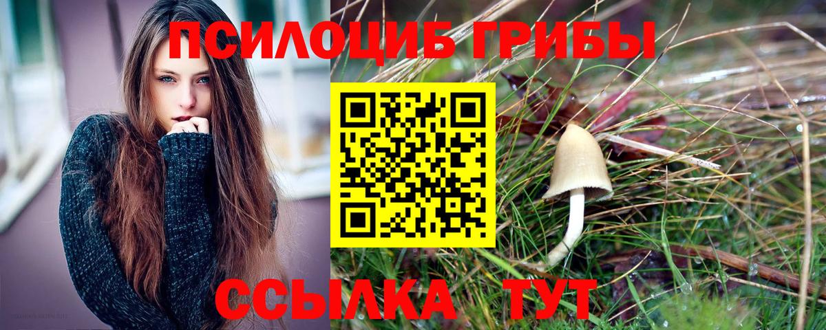 Галлюциногенные грибы GOLDEN TEACHER  Вход с VPN  хочу   Улан-Удэ 