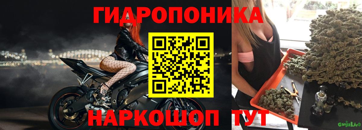 Бошки марихуана индика  Шишки марихуана тримм  Конопля семена  Улан-Удэ  Вход с VPN  Марихуана индика 